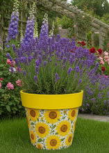 Indlæs billede til gallerivisning Sunflowers pot full of sunflowers height 26cm