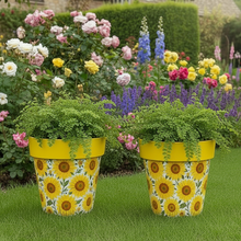 Load image into Gallery viewer, Sunflowers pot full of sunflowers height 26cm x 2 - Marissa's Garden & Gift