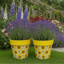 Load image into Gallery viewer, Sunflowers pot full of sunflowers height 26cm x 2 - Marissa's Garden & Gift