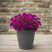 Charger l'image dans la galerie, 29cm Blenheim pale blue flower pot - Marissa's Garden & Gift