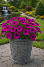 Charger l'image dans la galerie, 29cm Blenheim pale blue flower pot - Marissa's Garden & Gift