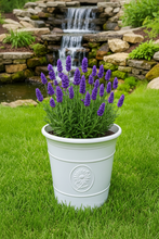 Laden Sie das Bild in den Galerie-Viewer, Sunflower coloured white flower pot available in two sizes