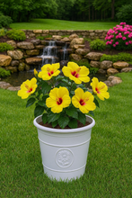 Load image into Gallery viewer, Sunflower coloured white flower pot available in two sizes - Marissa's Garden & Gift