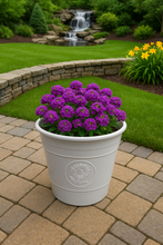 Load image into Gallery viewer, Sunflower coloured white flower pot available in two sizes - Marissa's Garden & Gift