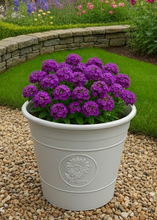 Laden Sie das Bild in den Galerie-Viewer, Sunflower coloured white flower pot available in two sizes