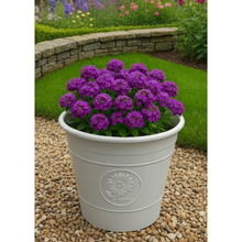 Load image into Gallery viewer, Sunflower coloured white flower pot available in two sizes - Marissa's Garden & Gift