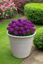 Laden Sie das Bild in den Galerie-Viewer, Sunflower coloured white flower pot available in two sizes - Marissa's Garden & Gift