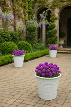 Laden Sie das Bild in den Galerie-Viewer, Sunflower coloured white flower pot available in two sizes - Marissa's Garden & Gift