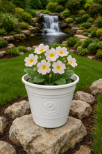 Load image into Gallery viewer, Sunflower coloured white flower pot available in two sizes - Marissa's Garden & Gift