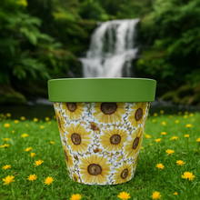 Load image into Gallery viewer, Sunflowers pot full of sunflowers - Marissa's Garden & Gift