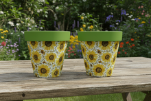 Load image into Gallery viewer, Sunflowers pot full of sunflowers x 2 pots - Marissa's Garden & Gift