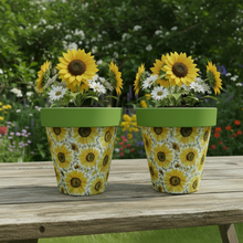 Load image into Gallery viewer, Sunflowers pot full of sunflowers x 2 pots - Marissa's Garden & Gift