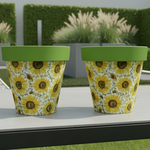 Load image into Gallery viewer, Sunflowers pot full of sunflowers x 2 pots - Marissa's Garden & Gift