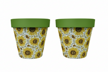 Load image into Gallery viewer, Sunflowers pot full of sunflowers x 2 pots - Marissa's Garden & Gift