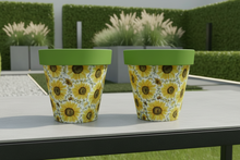 Load image into Gallery viewer, Sunflowers pot full of sunflowers x 2 pots - Marissa's Garden & Gift