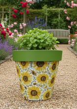 Load image into Gallery viewer, Sunflowers pot full of sunflowers