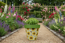 Load image into Gallery viewer, Sunflowers pot full of sunflowers - Marissa's Garden & Gift