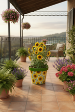 Load image into Gallery viewer, Sunflowers pot full of sunflowers - Marissa's Garden & Gift