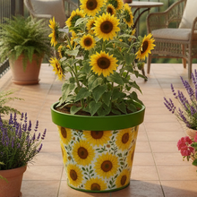 Load image into Gallery viewer, Sunflowers pot full of sunflowers - Marissa's Garden & Gift