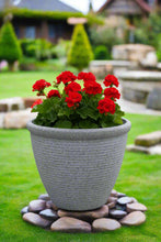 Laden Sie das Bild in den Galerie-Viewer, 26cm Chatsworth grey embossed pot - Marissa's Garden & Gift