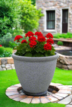 Laden Sie das Bild in den Galerie-Viewer, 26cm Chatsworth grey embossed pot - Marissa's Garden & Gift