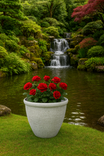 Laden Sie das Bild in den Galerie-Viewer, 26cm Chatsworth white coloured flower pot - Marissa's Garden & Gift