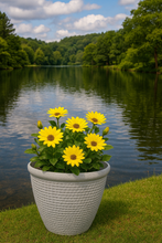 Laden Sie das Bild in den Galerie-Viewer, 26cm Chatsworth white coloured flower pot - Marissa's Garden & Gift