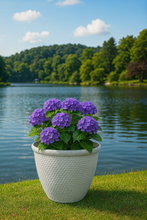 Laden Sie das Bild in den Galerie-Viewer, 26cm Chatsworth white coloured flower pot - Marissa's Garden & Gift