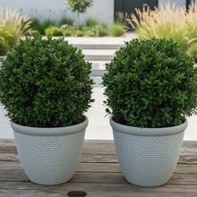 Laden Sie das Bild in den Galerie-Viewer, 26cm Chatsworth white coloured textured flower pot x 2 pots - Marissa's Garden & Gift