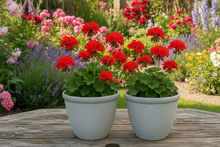 Laden Sie das Bild in den Galerie-Viewer, 26cm Chatsworth white coloured textured flower pot x 2 pots - Marissa's Garden & Gift