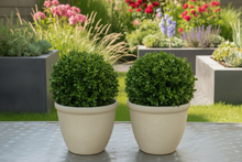 Laden Sie das Bild in den Galerie-Viewer, 26cm Chatsworth white coloured textured flower pot x 2 pots - Marissa's Garden & Gift