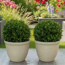 Laden Sie das Bild in den Galerie-Viewer, 26cm Chatsworth white coloured textured flower pot x 2 pots - Marissa's Garden & Gift