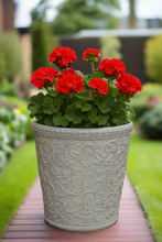 Load image into Gallery viewer, 29cm Blenheim polyresin off white flower pot - Marissa's Garden & Gift
