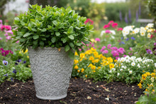 Load image into Gallery viewer, 29cm 2 x Blenheim polyresin off white recycled flower pots - Marissa's Garden & Gift