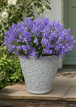 Load image into Gallery viewer, 29cm 2 x Blenheim polyresin off white recycled flower pots - Marissa's Garden & Gift