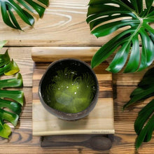 Indlæs billede til gallerivisning Handmade hand painted green feather design food safe coconut bowl and spoon Set with free gift bamboo straw and gift box - Marissa's Garden & Gift