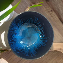 Afbeelding in Gallery-weergave laden, Handmade hand painted blue feather design food safe coconut bowl and spoon Set with free gift bamboo straw and gift box - Marissa's Garden & Gift