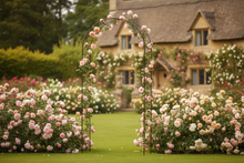Laden Sie das Bild in den Galerie-Viewer, Hollywell Garden Rose Arch black with gold leaves - Marissa's Garden & Gift