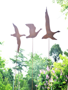 Three large rusty Flying Geese Garden Art on poles measuring 25 x 16.5 cm for garden/outdoor.