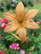 Load image into Gallery viewer, Handmade Lily metal rusty garden/outdoor flower 125cm - Marissa's Garden & Gift