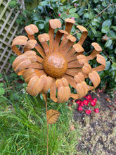 Load image into Gallery viewer, Handmade rusty garden/outdoor chrysanthemum metal garden flower 119cm - Marissa's Garden & Gift