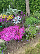 Afbeelding in Gallery-weergave laden, Handmade garden/outdoor sunflower metal garden ornament rusty and silver 89cm - Marissa's Garden & Gift