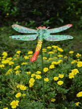 Load image into Gallery viewer, Metal dragonfly plant support/decorative garden ornament
