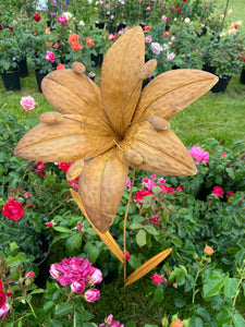 Handmade Lily metal rusty garden/outdoor flower 125cm