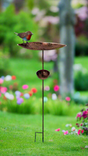 Laden Sie das Bild in den Galerie-Viewer, Hand-made Robin Bird Feeder with Stake – 32×24×109 cm, 30 cm Tray – Garden Decor &amp; Wild Bird Feeder - Marissa's Garden &amp; Gift
