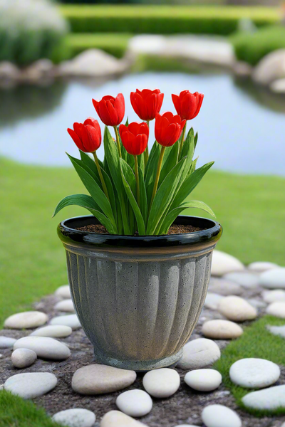 Badminton grey pot planter - Marissa's Garden & Gift