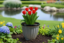 Load image into Gallery viewer, Badminton grey pot planter
