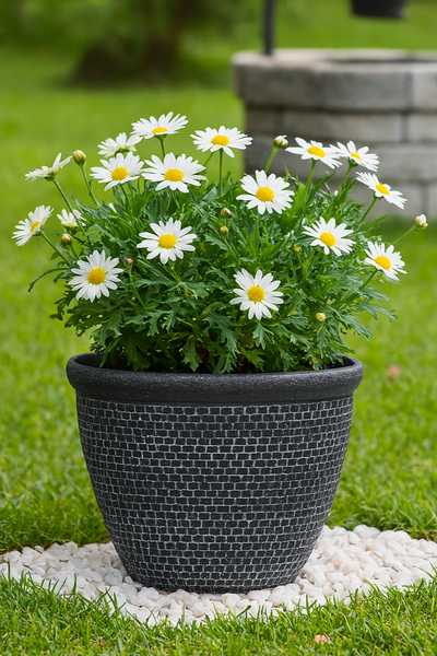 Wentworth black and silver coloured flower pot - Marissa's Garden & Gift