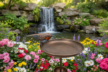 Laden Sie das Bild in den Galerie-Viewer, Robin bird feeder bronze powder coated for garden/outdoor space
