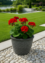 Load image into Gallery viewer, Wentworth black and white coloured flower pot
